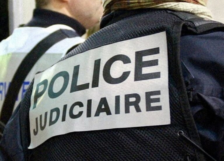 Drame à Seine-Saint-Denis : mère tuée, fils interné