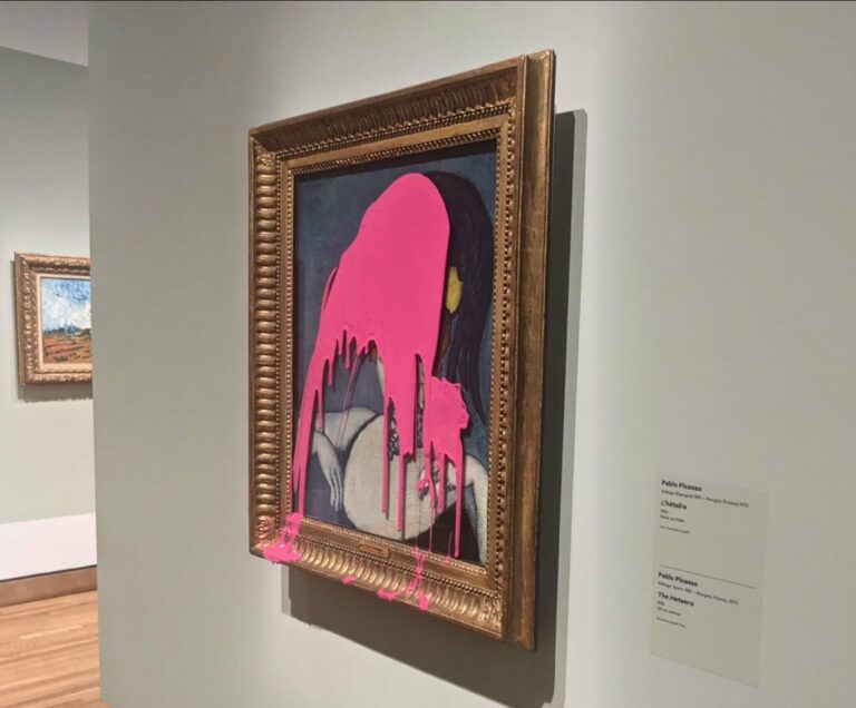 Un Militant Climat Jette de la Peinture Rose sur un Picasso