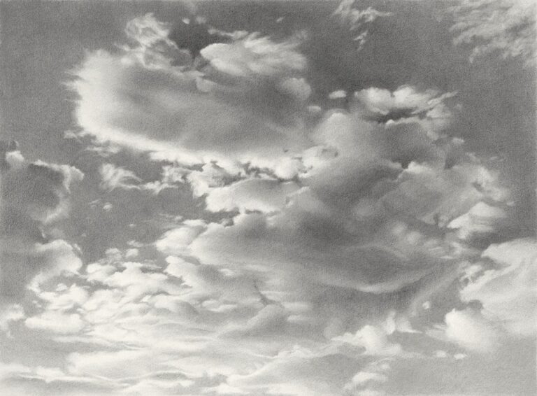 Vija Celmins : Une Rétrospective Subtilement Éblouissante