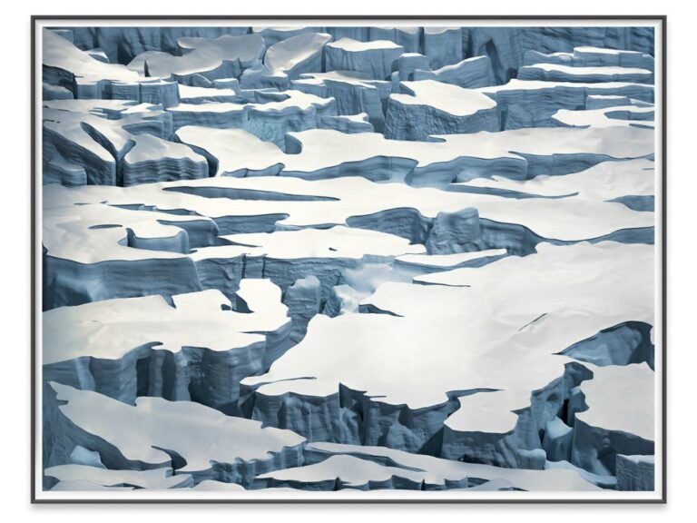Frieze Londres : Vente Solidaire pour le Climat