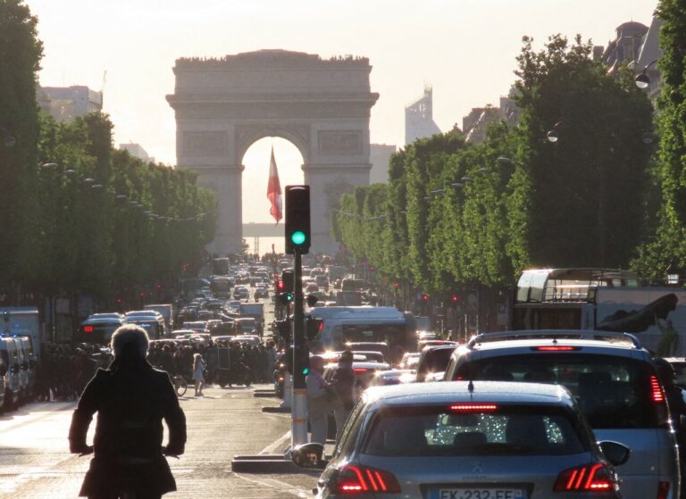 Paris : Invasion d'animaux sur les Champs-Elysées !