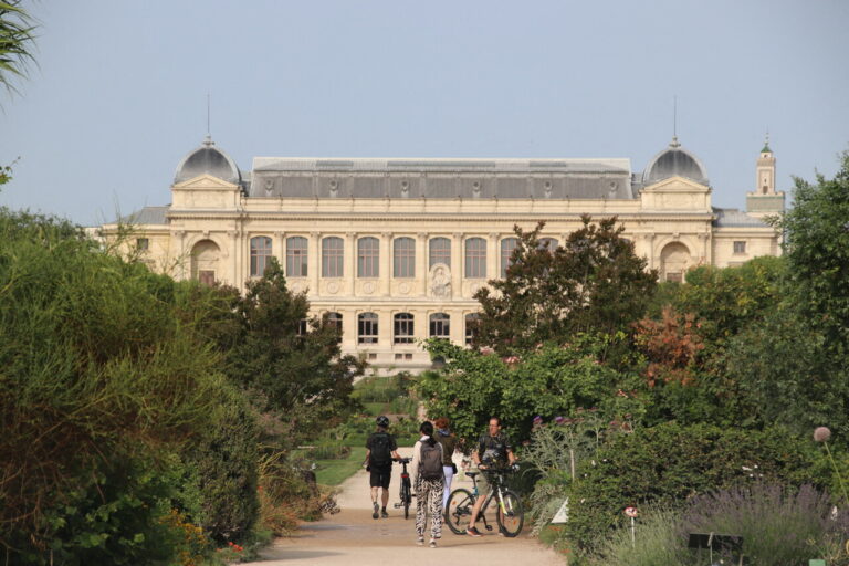 Vol de pépites d'or : musée de Paris partiellement fermé