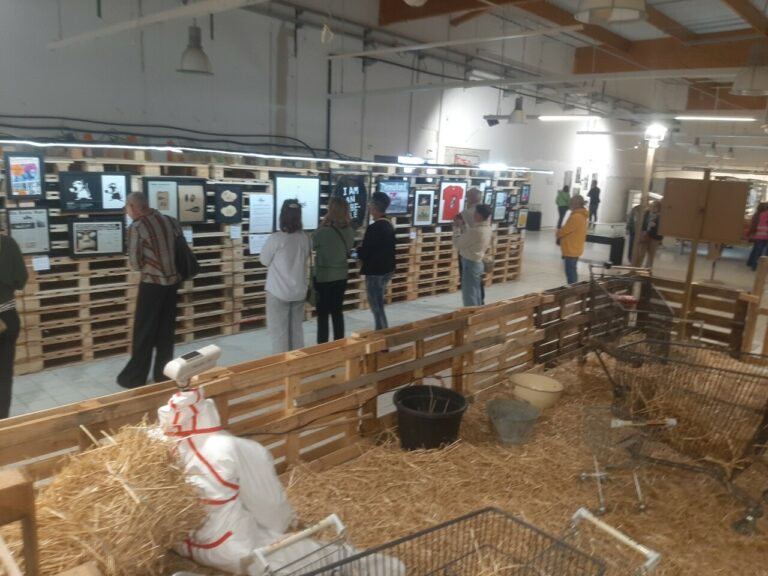 Exposition Banksy à Villefranche : un succès fou !