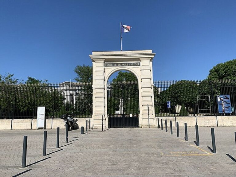 Crise à l'école vétérinaire de Maisons-Alfort : scandales révélés