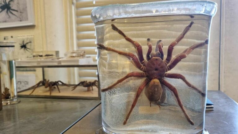 Île-de-France : Actus choc à ne pas manquer ce midi