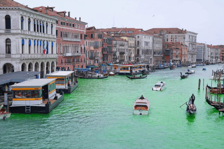 Venise: Canal Vert par Thunberg et Extinction Rebellion!
