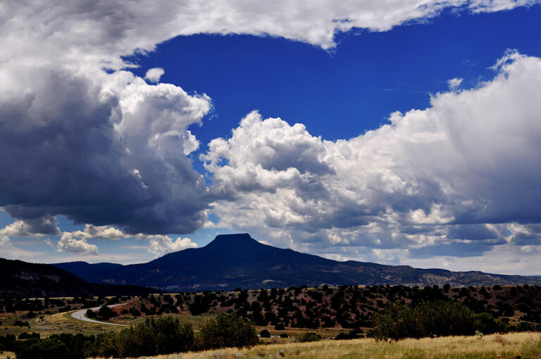 Découvrez le désert du Nouveau-Mexique protégé