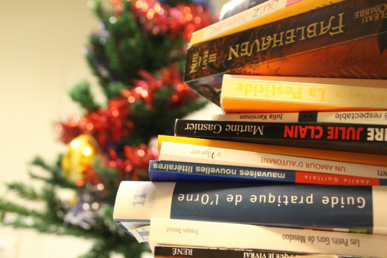 Idées de livres incontournables pour Noël 2023 !