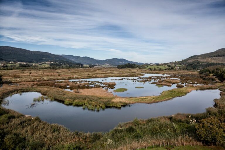 Le Guggenheim Bilbao abandonne son projet Biosphère