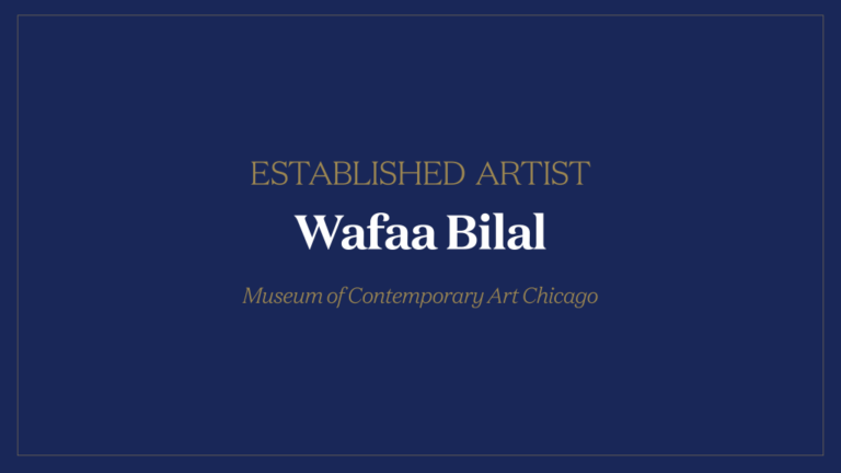 Wafaa Bilal: Artiste Établi de l'Année 2025!