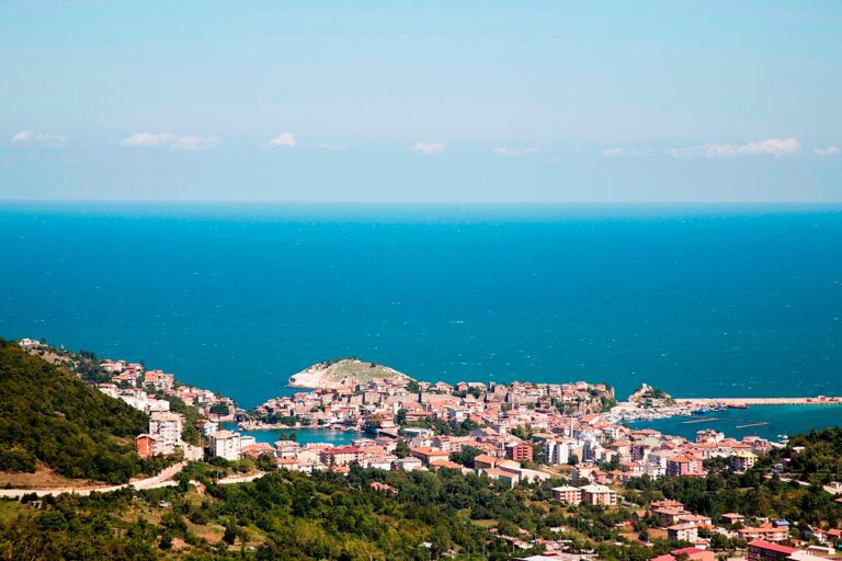 Découverte d'une Méduse inédite en Turquie!