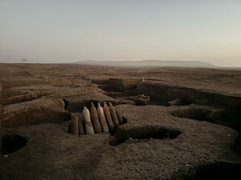 Incroyable Découverte : Un Cimetière Antique en Égypte