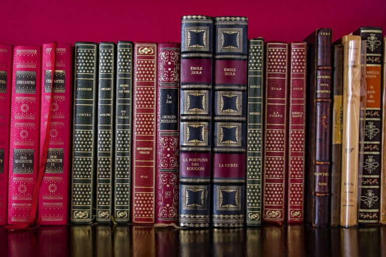 QUIZ : Pouvez-vous deviner ces titres de classiques français ?