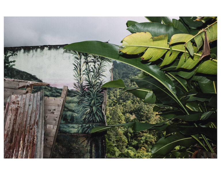 Enchères d'art : Jamaïque et L.A. à l'honneur !