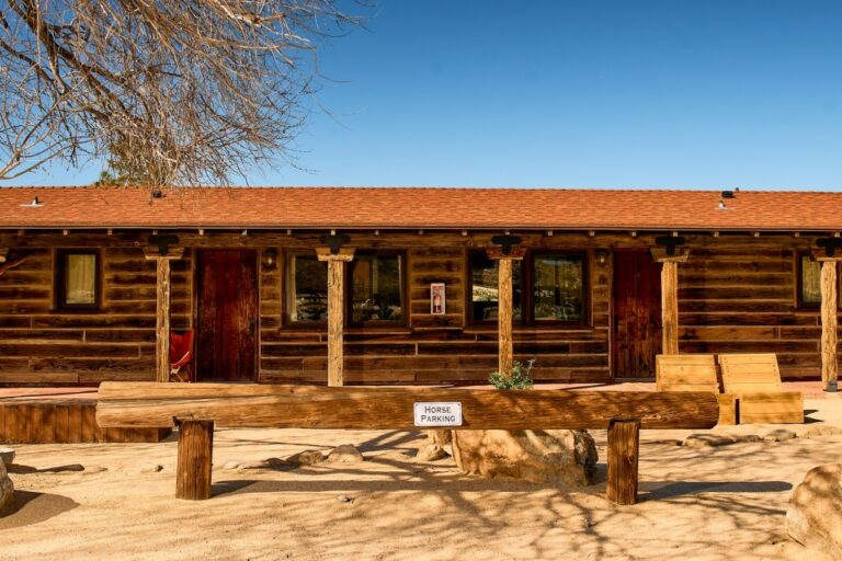 Découvrez l'Art et la Beauté du Désert Californien