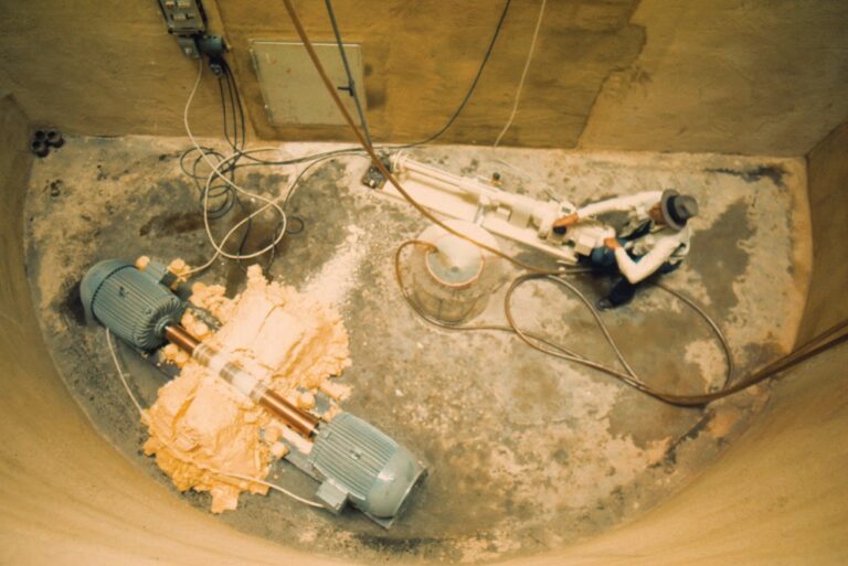 Joseph Beuys : L'artiste incompris du XXe siècle ?