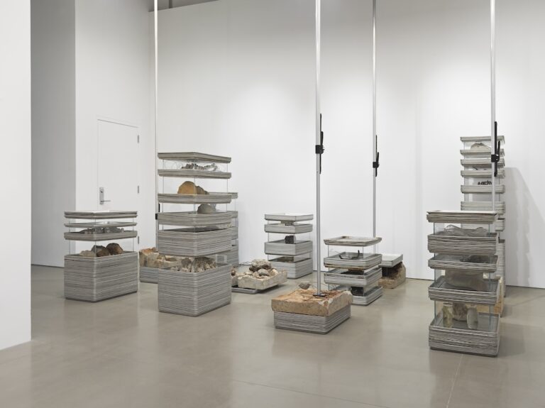 Michael Joo: Retour sur sa carrière avant Venise