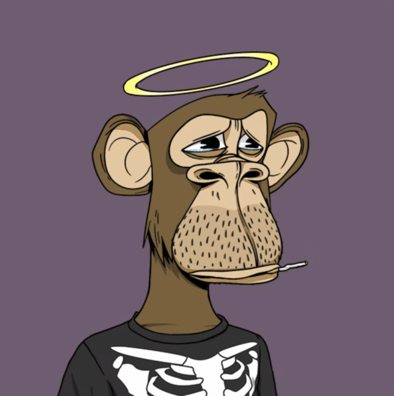 Fin du Duel Juridique: Ryder Ripps vs Bored Ape