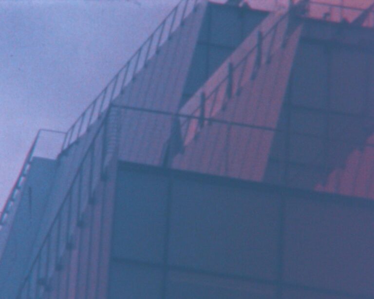 Frieze NY: Biennale Whitney et Fonds de 50 000$!