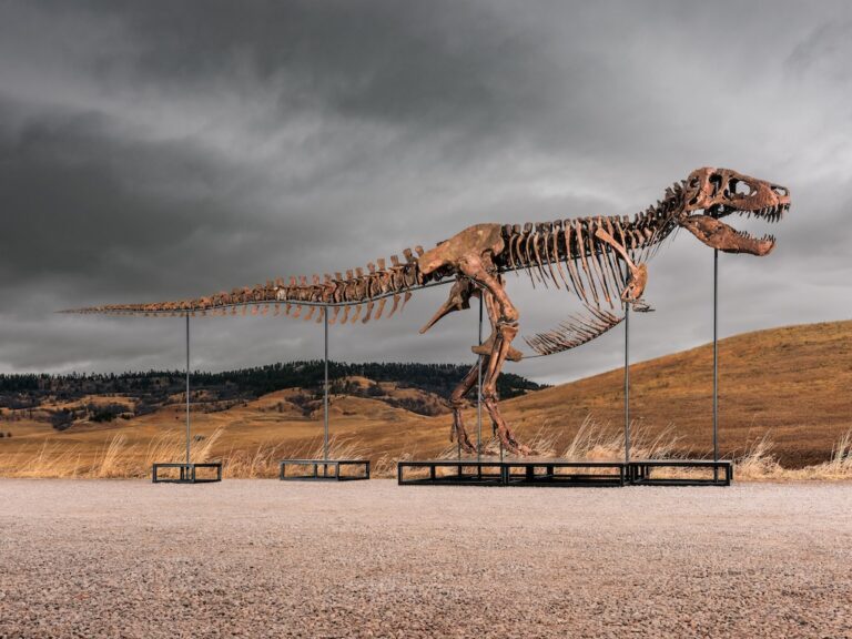 Un T. rex à 30 M$ : Le Nouveau Trophée des Riches ?