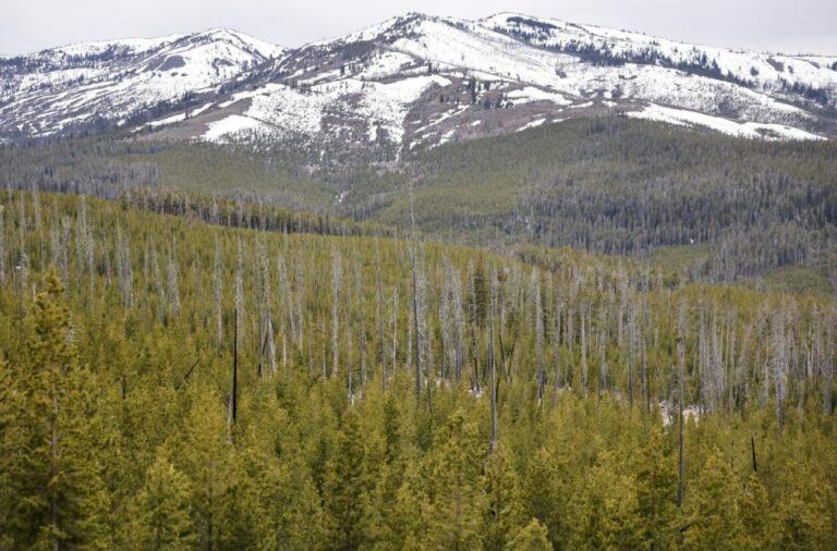 L'association archéologique du Wyoming attaque l'État