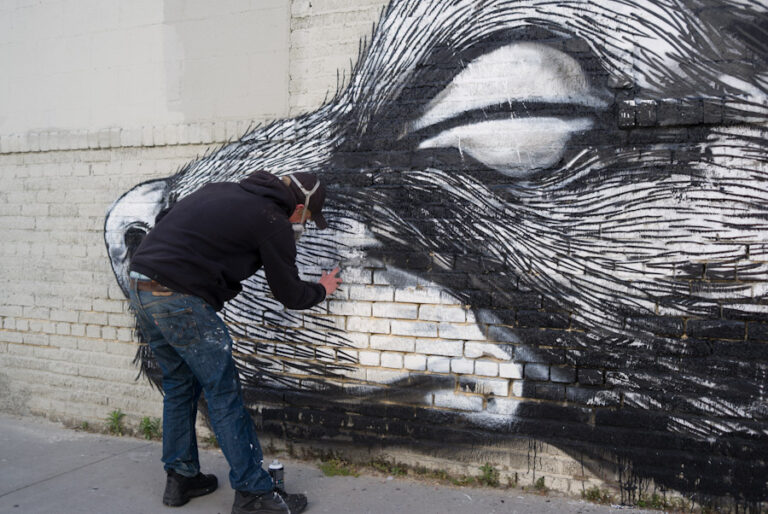 Roa street artiste peint une oeuvre sur un mur