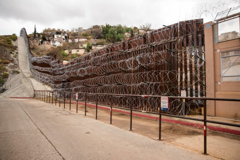 Au Musée de l’Homme, récits intimes et histoire universelle des migrations