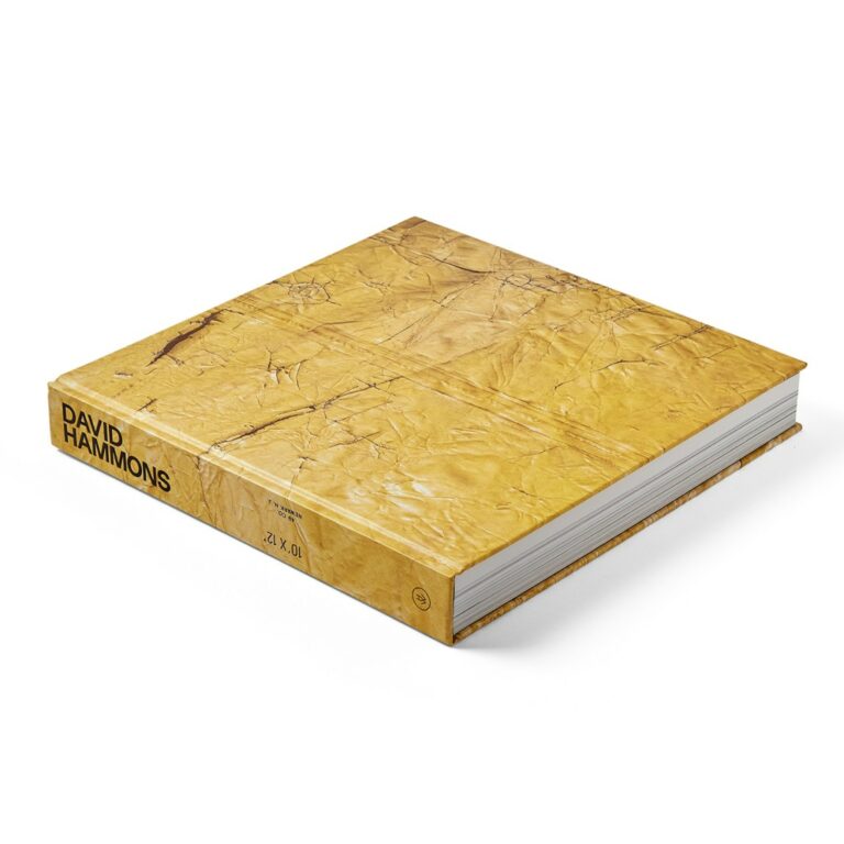 Un Nouveau Livre de David Hammons : Oserez-vous?