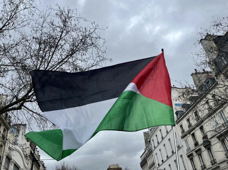 Saint-Denis soutient la Palestine : manif et visite