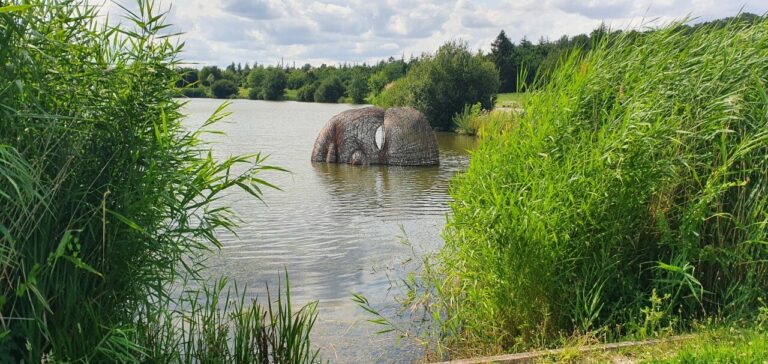 Découvrez l'expo en plein air à Chessy en 2025 !