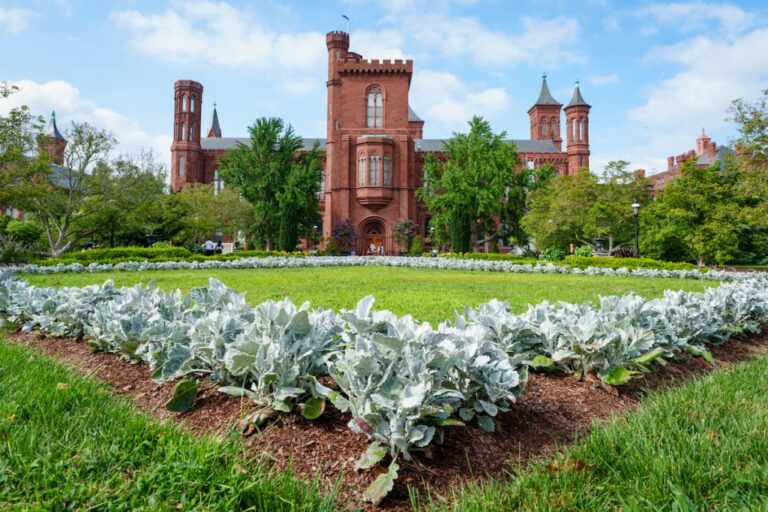 La Maison Blanche s'attaque à des œuvres clés du Smithsonian