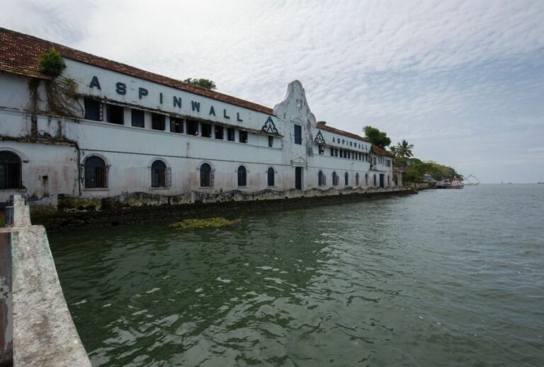 Choc Révélations: 66 Artistes au Biennale de Kochi!