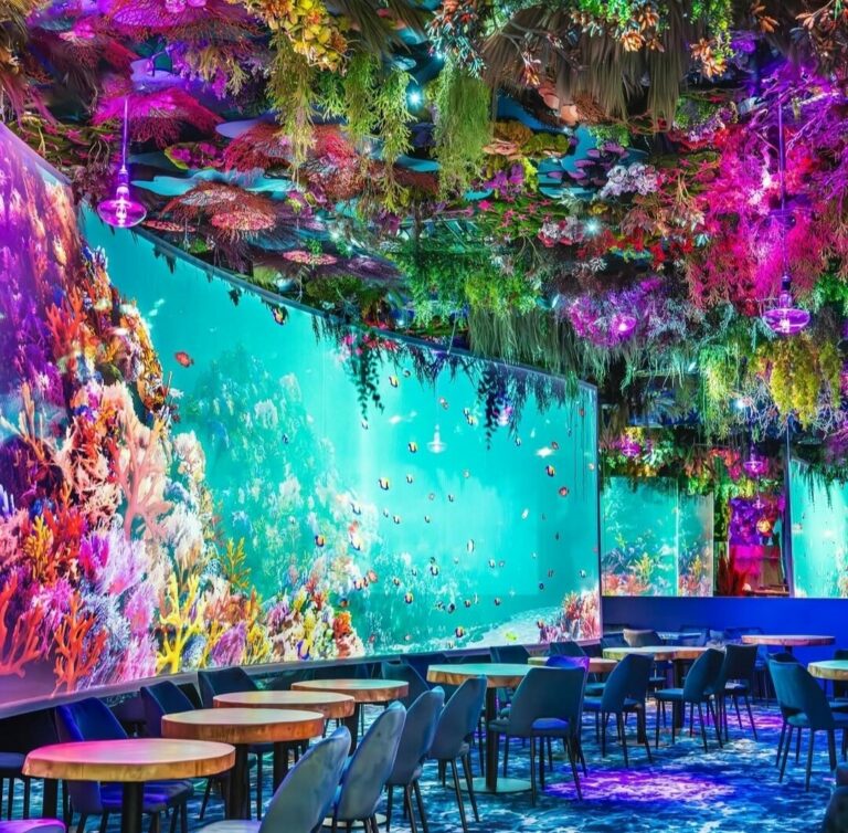 Découvrez le succès d'Under the Sea à Versailles!