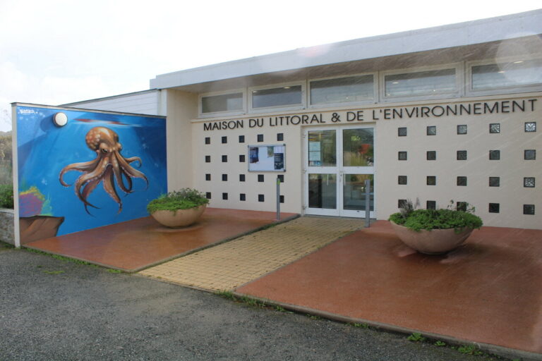 Découvrez les deux fresques captivantes de Blesea