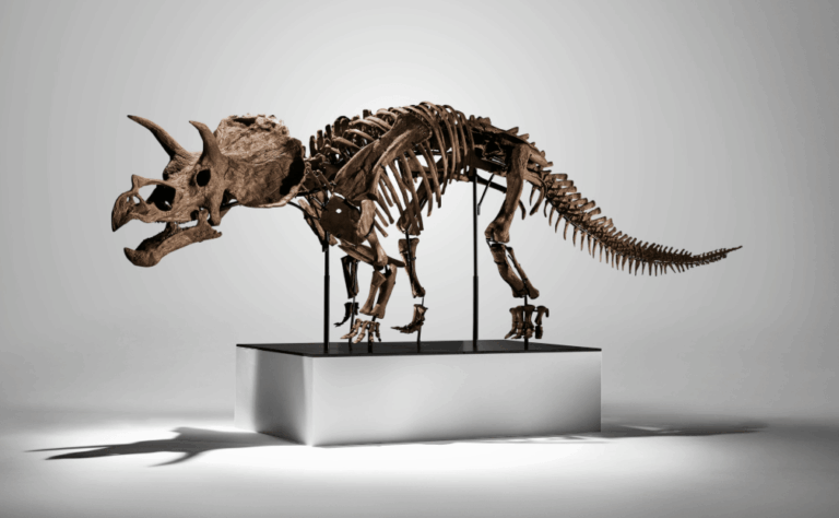 Vente Phillips : 54 M$, Bonhams Bouge, Femmes Photo !