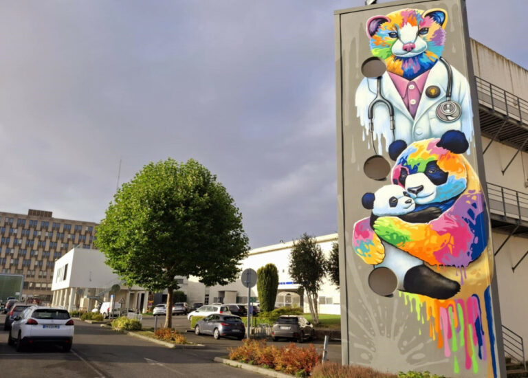 Découvrez les fresques animalières à l'hôpital de Saint-Brieuc