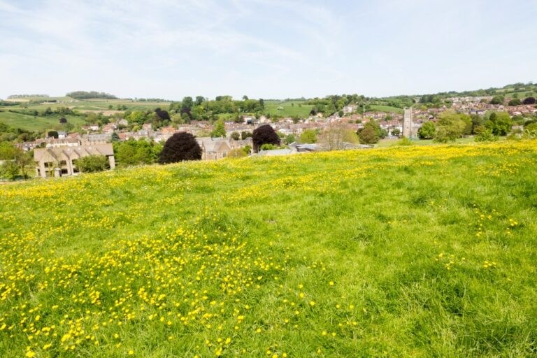Marché de l'Art Redéfini, Réveil Culturel Libyen