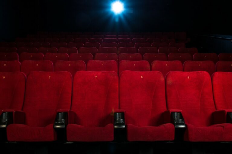 2025 : Année difficile pour les cinémas français