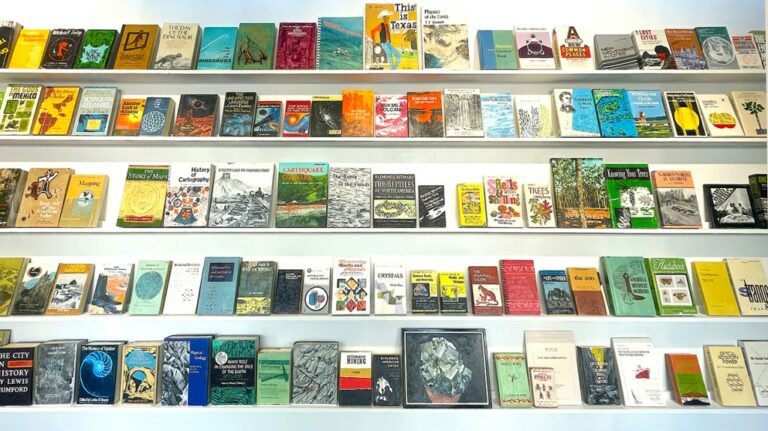 6 Livres Sur L'Étagère de Robert Smithson