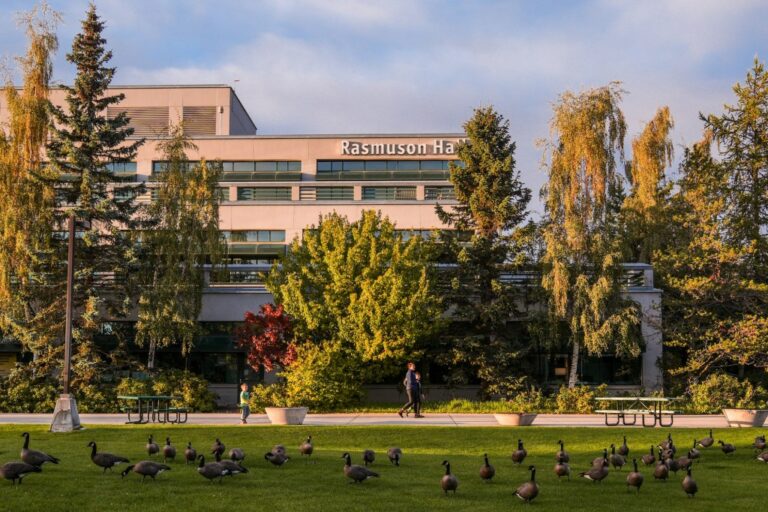 Un étudiant en Alaska dévore une œuvre d'art IA !