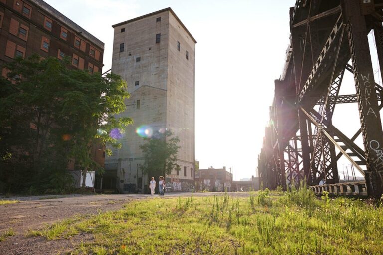 Triennale 2026: Plongez dans le "Temps du Coyote"