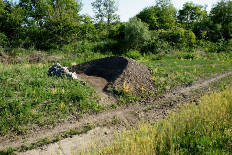 47 Artistes Révélés pour la 3ème Triennale! 