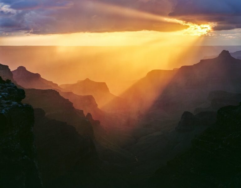 Découvrez les Archives de 9 Photographes Créatifs