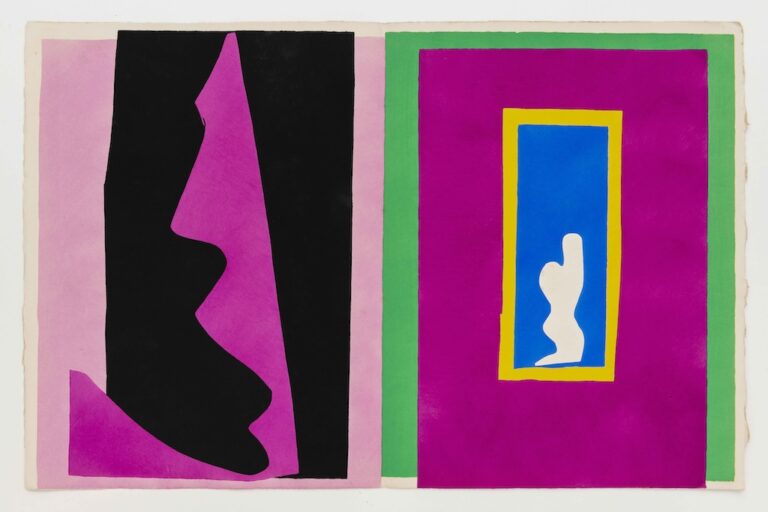 Vol de Matisse : L'Architecte du Crime Dévoilé ?
