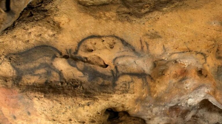Peintures Rupestres Datées : 13,000 Ans Dévoilés!